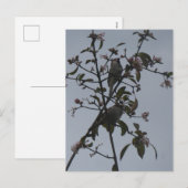 Moineaux dans un arbre avec fleurs d'automne carte (Devant / Derrière)