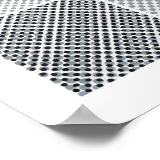 Moire Patterns poster (Coin)