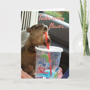 Moïse et carte d'anniversaire de Maude