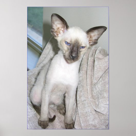 Mojave de Grote Poster (Voorkant)