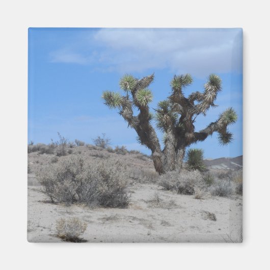 Mojave Desert Magneet (Voorkant)