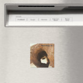 Mojave Desert Magnet ! (In Situ (Lave-vaisselle))