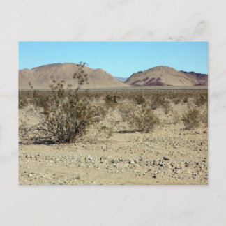 Mojave Desert scene 02 Briefkaart