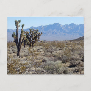 Mojave Desert scene 03 Briefkaart