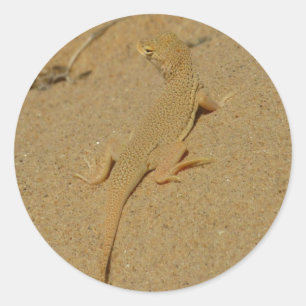 Mojave franjehagedis ronde sticker