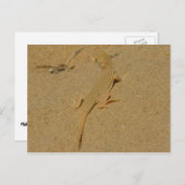 Mojave Fringe Toed Lizard Briefkaart (Voorkant / Achterkant)