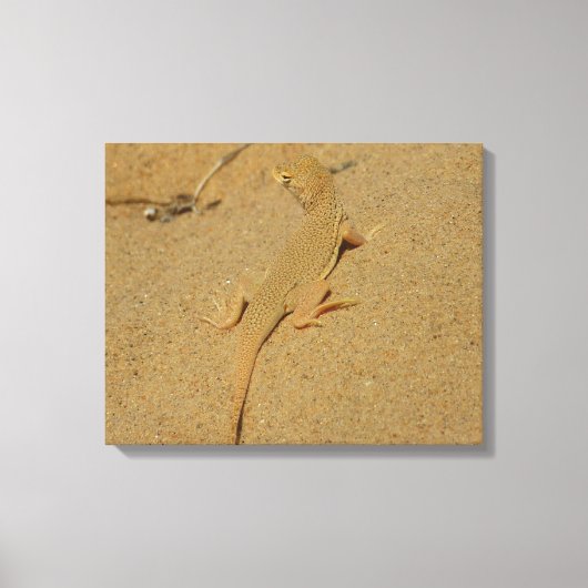Mojave Fringe Toed Lizard Canvas Afdruk (Voorkant)
