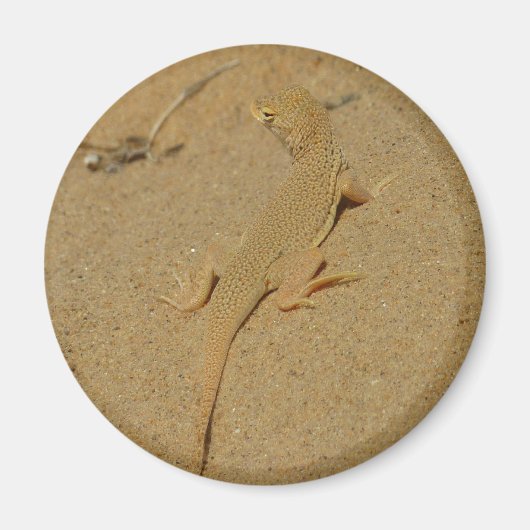 Mojave Fringe Toed Lizard Magneet (Voorkant)