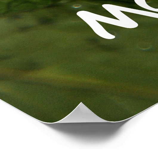 Mojito! Poster (Hoek)