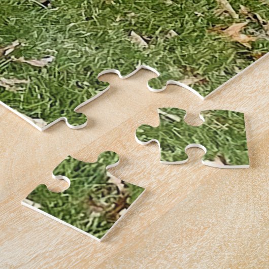 Mojo - Australian Shepherd Legpuzzel (Zijkant)