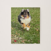 Mojo - Australian Shepherd Legpuzzel (Verticaal)