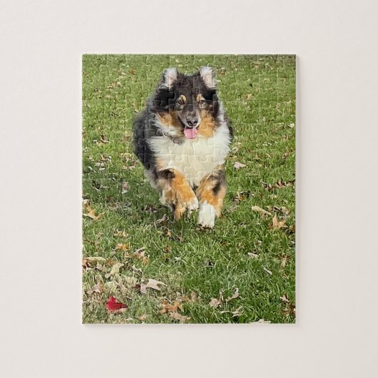 Mojo - Australian Shepherd Legpuzzel (Verticaal)
