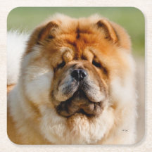 Mojo Chow Onderzetter