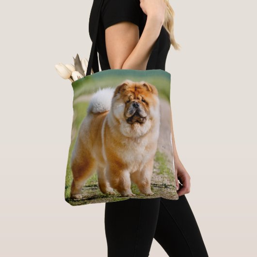 Mojo Chow Shoulder Canvas tas (Dichtbij)