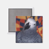 Mojo Magneet (Voorkant / Achterkant)