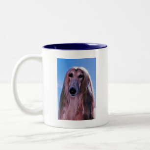Mok Afghaanse hond