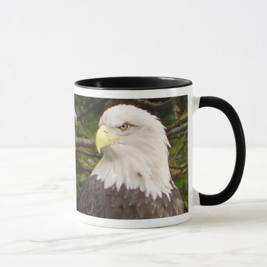 Mok Amerikaanse Bald Eagle (Rechts)