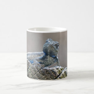 Mok blauw ballichter hagedis