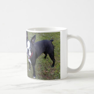 MOK BOSTON TERRIER COFFEE
