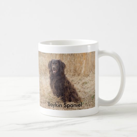 Mok Boykin Spaniel (Rechts)