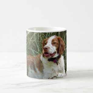 Mok Brittany Spaniel