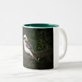 Mok Bunya Mountains Kookaburra (Voorkant rechts)