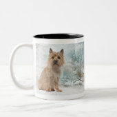 Mok Caïro Terrier (Links)