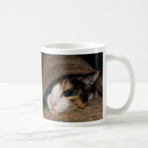 Mok Calico Taco Coffee