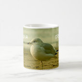 Mok - California Seagull (Center)