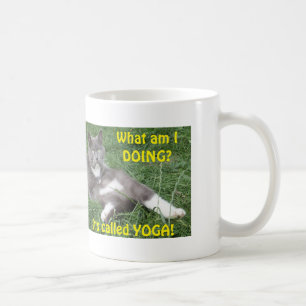 Mok Cat Yoga
