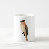Mok Cedar Waxing (Center)