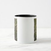 Mok Chickadee Combo (Midden)
