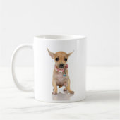 Mok Chihuahua (Links)