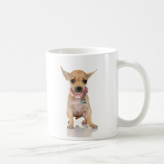 Mok Chihuahua (Rechts)