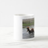 Mok Chincoteague Ponies (Center)