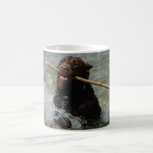 Mok Chocolade Lab (Center)