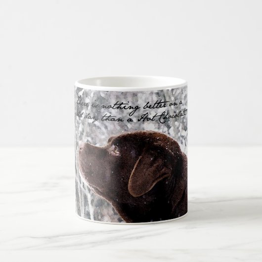 Mok Chocolade Lab (Center)
