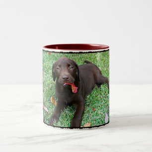 Mok Chocolate Lab Coffee