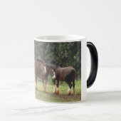 Mok Clydesdales (Voorkant rechts)