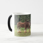 Mok Clydesdales (Voorkant links)
