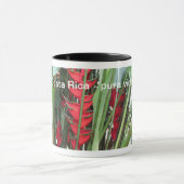 Mok Costa Rica (Midden)