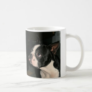 Mok Cutie  van Boston Terrier Coffee