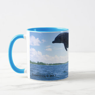 Mok Dolphin Frequency