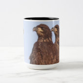 Mok E17 en E18 (Center)