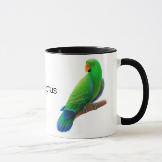 Mok Eclectus Parrots (Rechts)