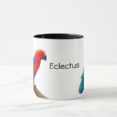 Mok Eclectus Parrots (Midden)