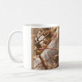 Mok eekhoorn (Links)