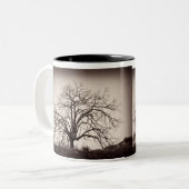 Mok eikenbomen (Voorkant links)