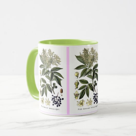 Mok Elderberry Sambucus (Voorkant links)