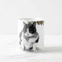 Mok: Felix, de kat, kamperen in augustus